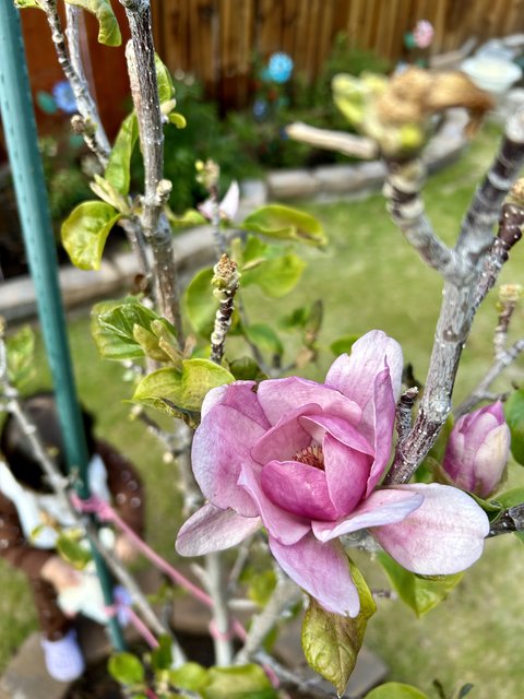 [Image: IMG-4994.jpg]