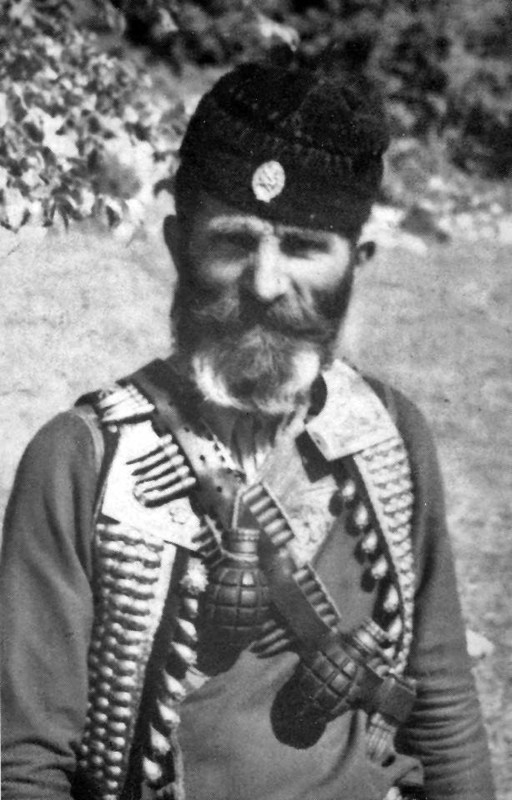 [Слика: 12200964-10207266175960289-1190670651-n.jpg]