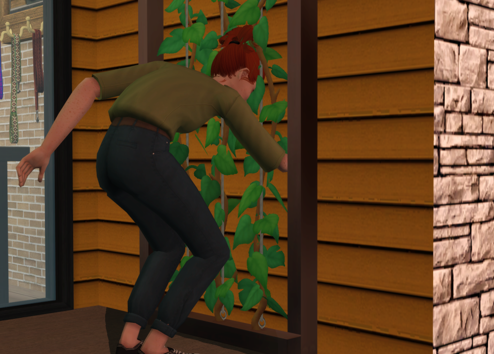 Sims2-EP9-RPC-2022-02-06-21-29-25-23