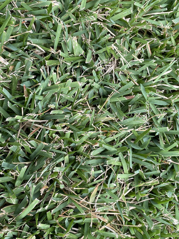 9B395148-8039-423E-9C5A-892E1DCC95CA