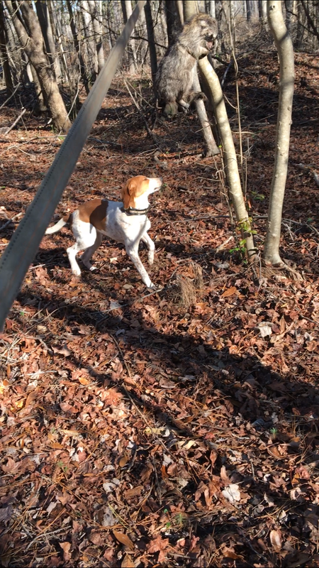 F7EF9D66-8378-408F-94F7-13FDE7ADC970