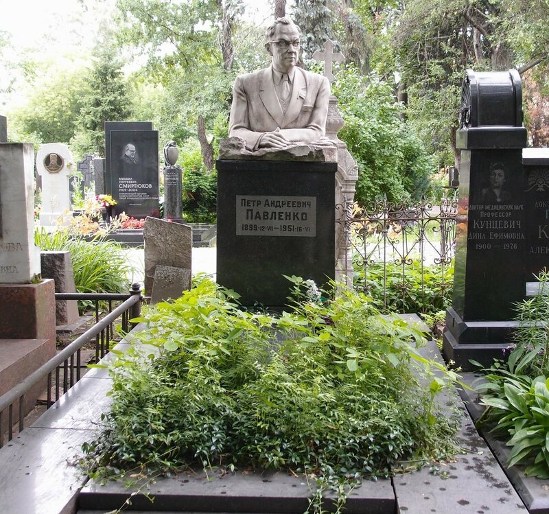 pavlenko-pa