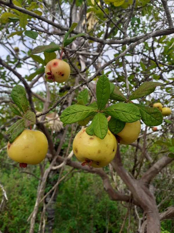 WhatsApp Image 2020-12-08 at 20.44.46 (5)