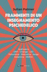 Julian Palmer – Frammenti di un insegnamento psichedelico (2019)