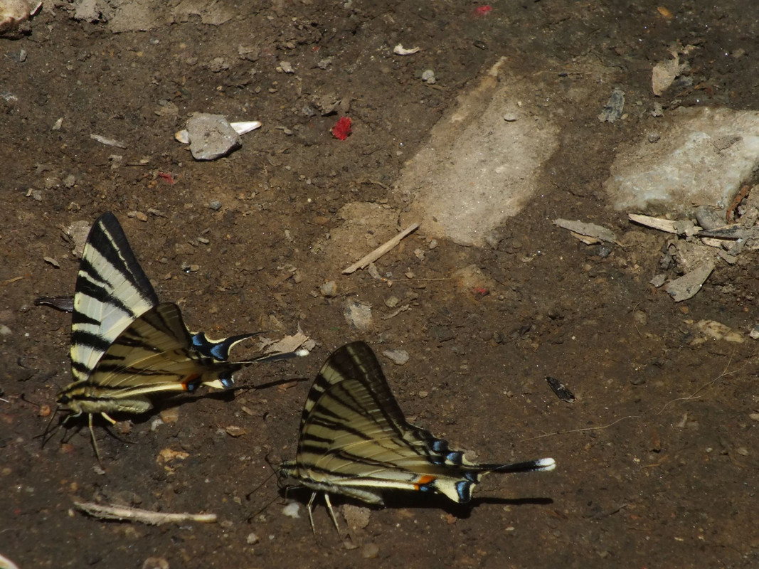 2019_0904BAŁKANY_fuji0639