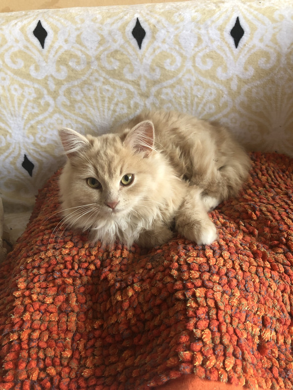 90F5CC98-9E80-42B8-9A90-0B94492479FB