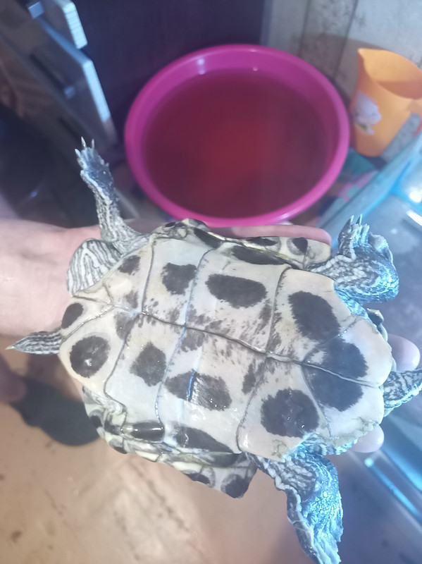 IMG_20250921_210602_7CS