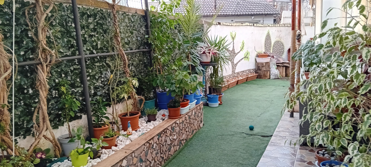 https://i.postimg.cc/vZztP7Wf/482238179-10231543998200469-4649443734698885988-n.jpg