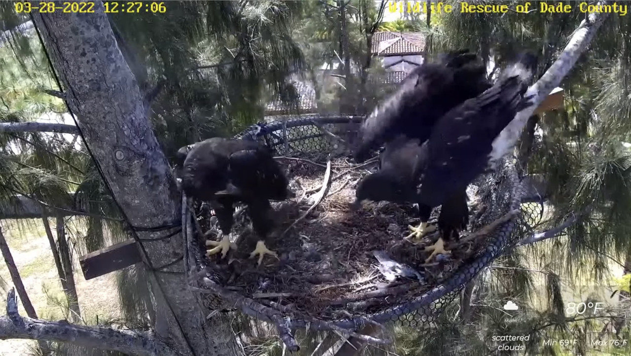 EE27C8A0-08C8-4573-B500-2003ACB5FF6C