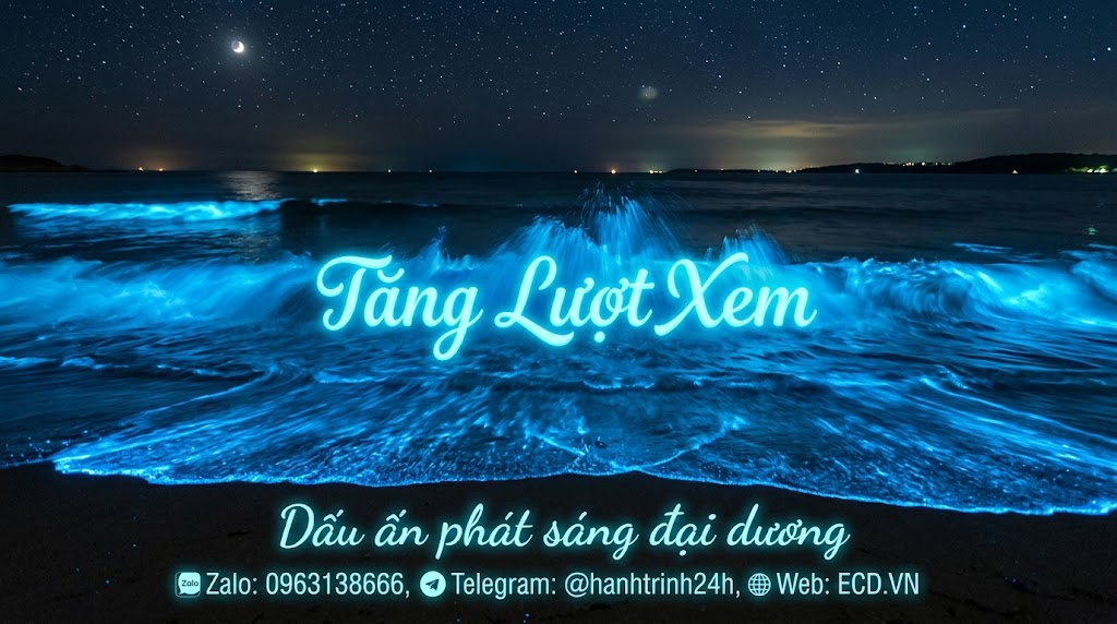tang vinh vien view bot tiktok
