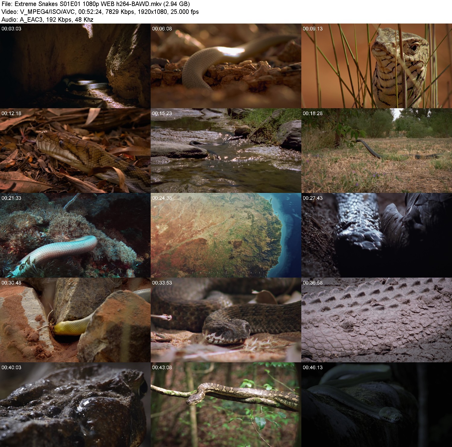 [Image: uo7ax4n6elu3.jpg]