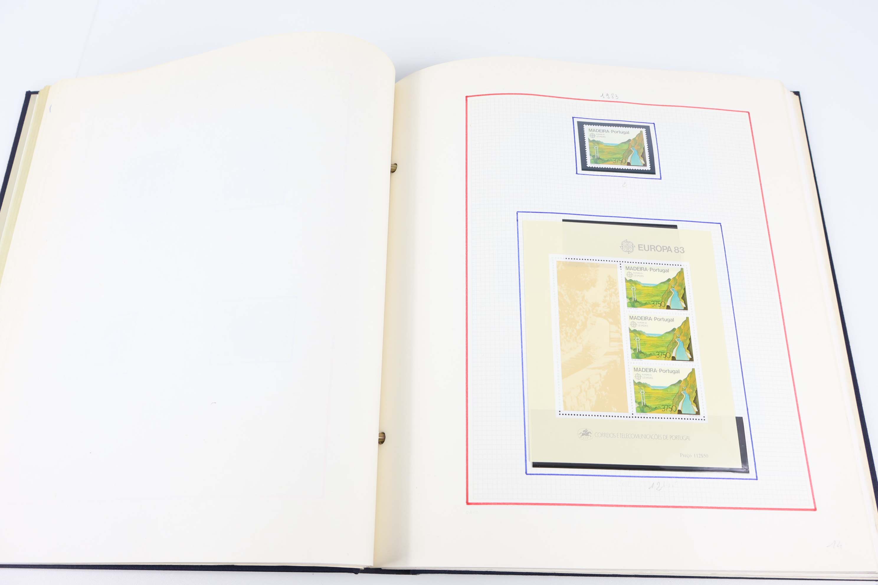 IMG-8239