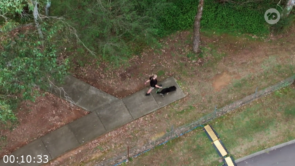 [Image: y06gsndg0y0p.png]