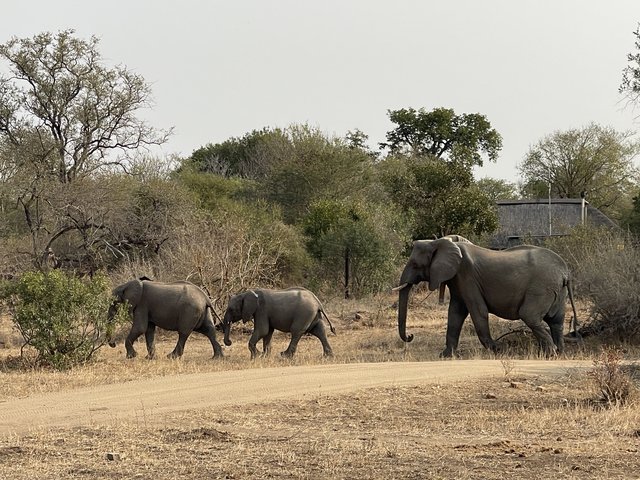 [Linked Image from i.postimg.cc]