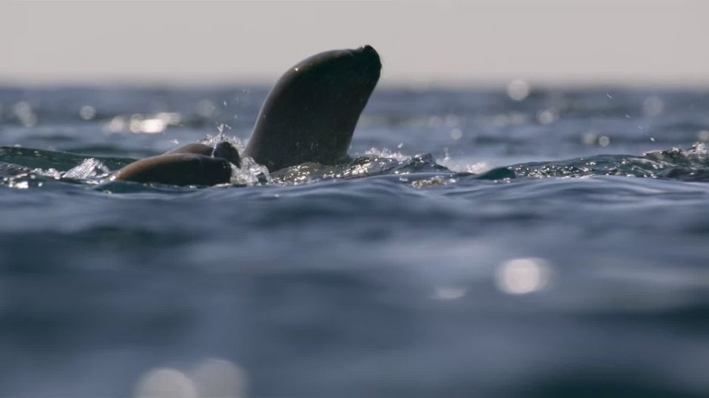 [Image: ioqon36m3it4.jpg]