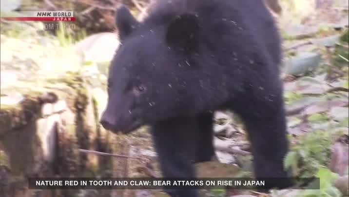 [Image: okg4hib9v57n.jpg]