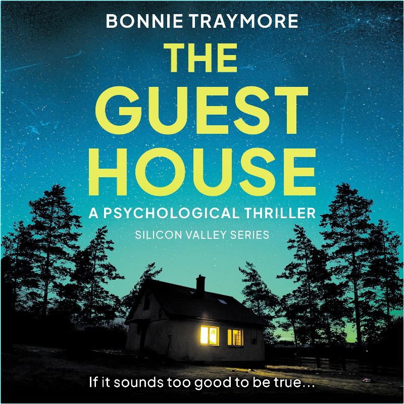 The Guest House Silicon Valley Series Book 2 B0DCGK7R32 (Auston King)