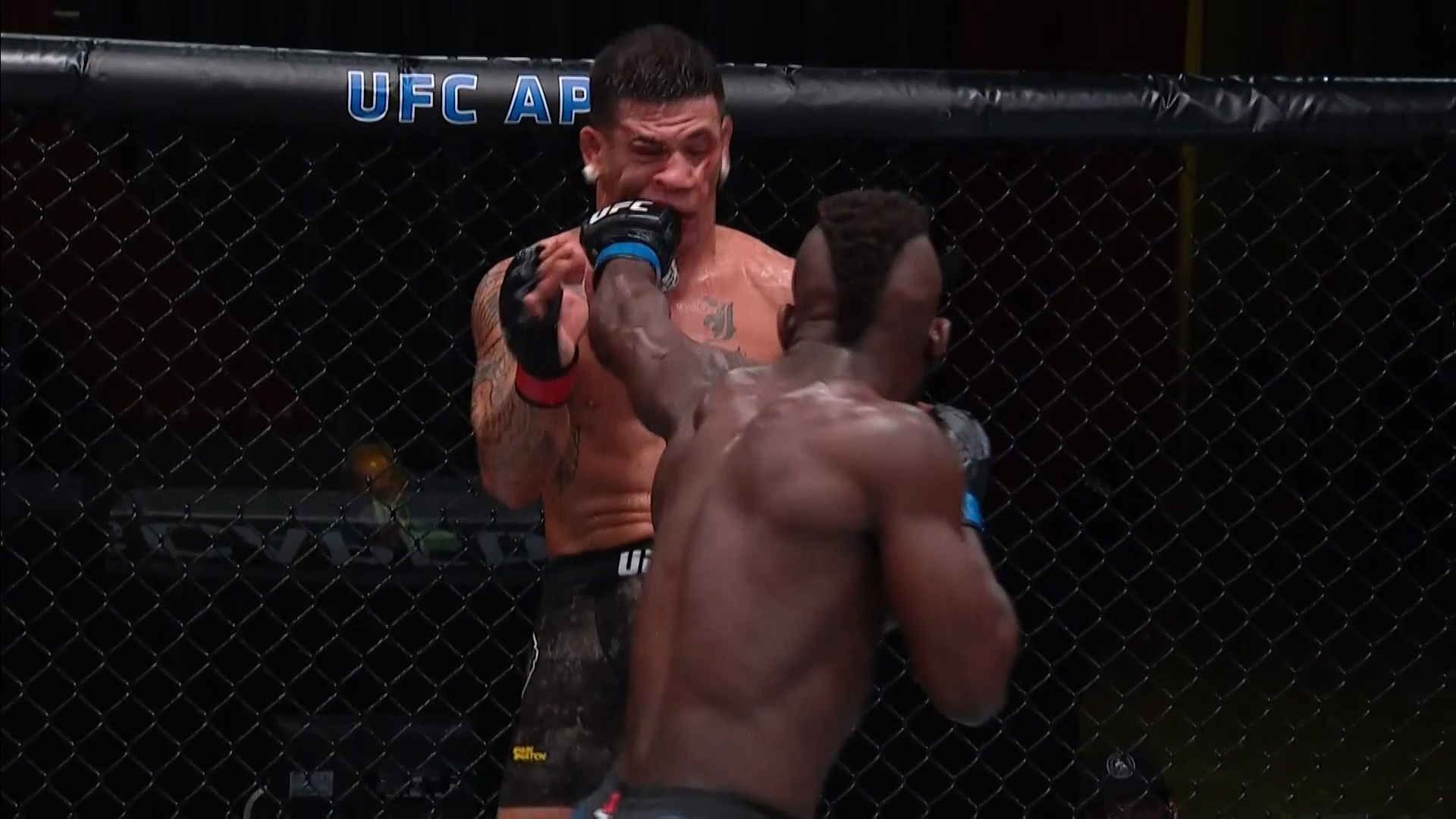 UFC Fight Night 175 Full Event 1080p HDTV x264-WH