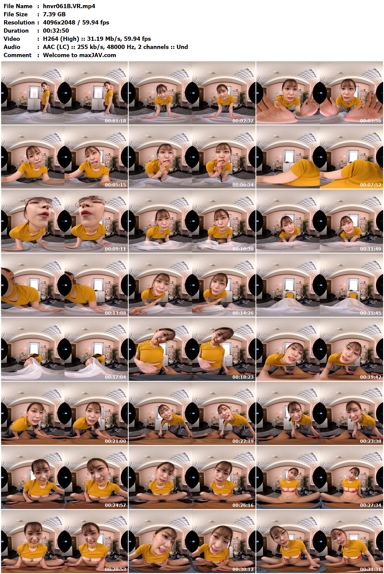 hnvr061B