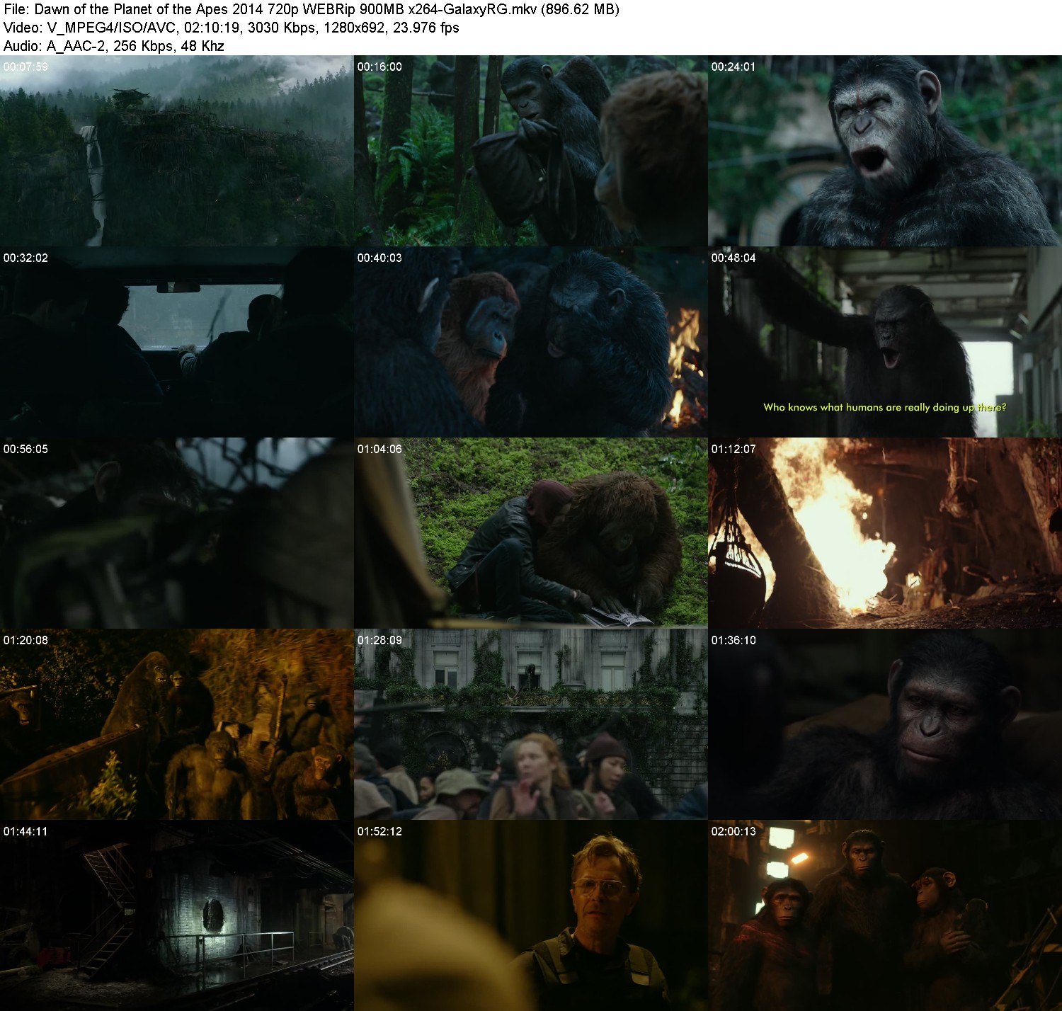 [Image: z1fprx8tfb67.jpg]