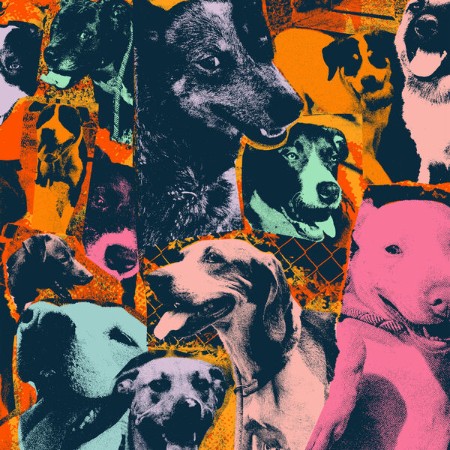 VA - The Dogs Of Hope (2025)