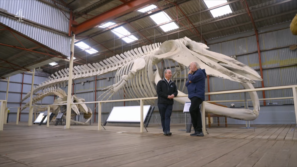 [Image: xbrnr0mp9g57.png]