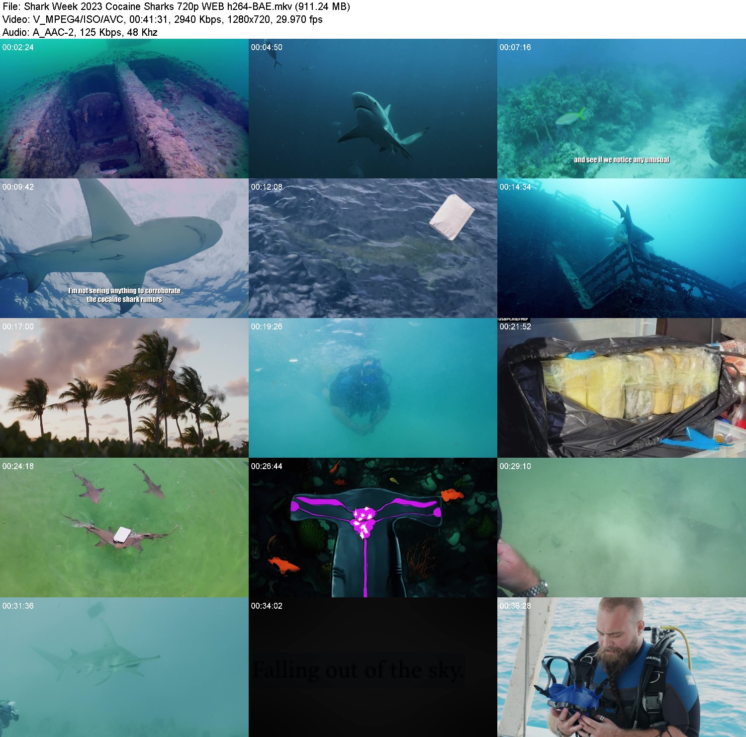 [Image: c4fdaq7di67g.jpg]