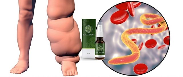 BACTEOFF comentarii produs
