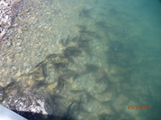 [Image: P5100007.jpg]