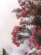 39.4.fantasy urban IV