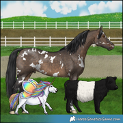 Miniature Party Pony, Miniature Cow