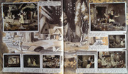 IMG-0007