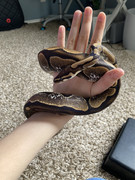 F85C1CD6-CAD1-4676-AA37-71A5ED6811AE