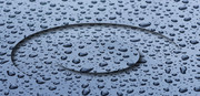 [Image: goutte.jpg]