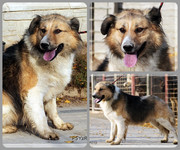 Be-Funky-collage-16.jpg&key=d88061b84bae