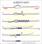 [Image: alberto.jpg]