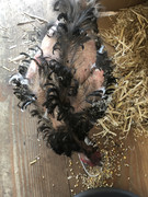 CC4FA62A-72EB-4A92-83F1-91F843287F25