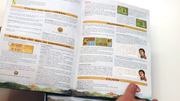 Odin-Dutch-rulebook-screenshot-(11)