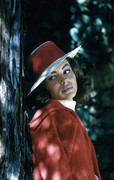 judi-meredith-a18
