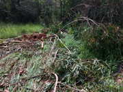 WhatsApp Image 2020-01-31 at 15.50.18