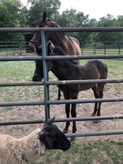 7688E541-D5FD-423A-9DE4-A216A3ACF0AB