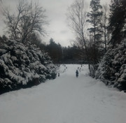 IMG_20150207_164705_resize