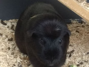 IMG_20191211_090704_620