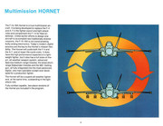 McDonnell FA-18 Hornet08