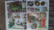 P-20210317-180442-p.jpg