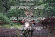 IMG-6601