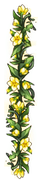 Divider-213x50-(2)