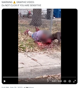 Screenshot Capture - 2023-09-16 - 02-47-23