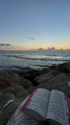 IMG-3099