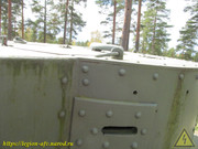 IMG-6528